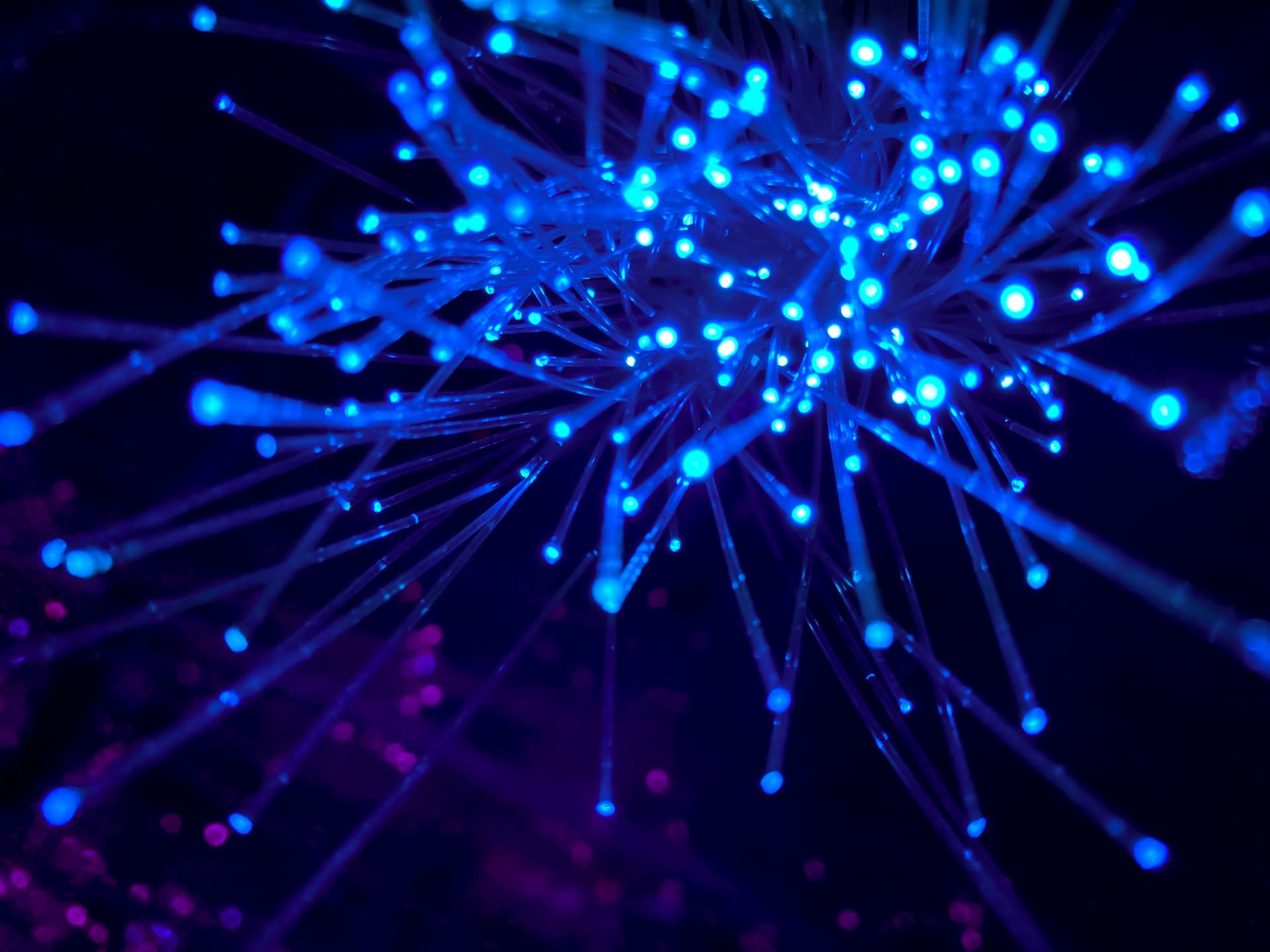 Optic fiber cables